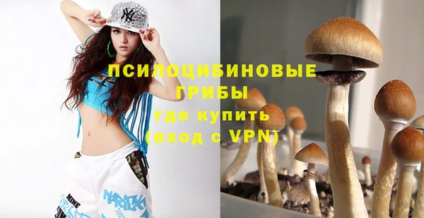 марки lsd Рославль
